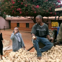 OLYMPUS DIGITAL CAMERA